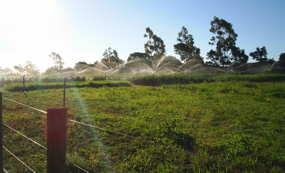 Uso de tensiômetro garante eficiência da irrigação no campo. Foto: Divulgação/Emater