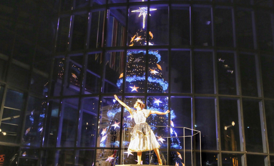 Festas de Natal já iluminam muitas cidades do Paraná. Curitiba. Foto: José Fernando Ogura/AEN