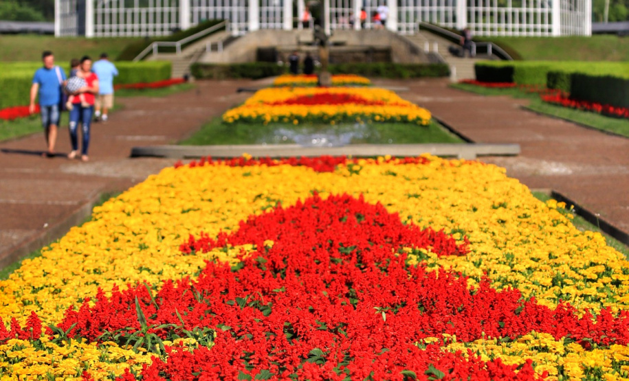Festas de Natal já iluminam muitas cidades do Paraná. Curitiba. Foto: José Fernando Ogura/AEN