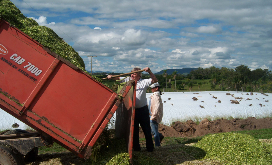No município de Palmas, na região de Pato Branco, os produtores estão fazendo o plantio de milho para a produção de silagem. Eles sabem que a qualidade depende de cuidados que começam agora. A escolha da semente, o cultivo e o ponto de colheita vão influenciar diretamente o valor nutritivo do alimento a ser oferecido para o gado.Foto: Divulgação/Emater
