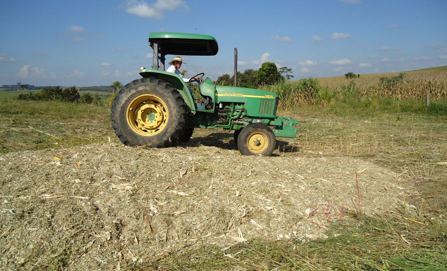 No município de Palmas, na região de Pato Branco, os produtores estão fazendo o plantio de milho para a produção de silagem. Eles sabem que a qualidade depende de cuidados que começam agora. A escolha da semente, o cultivo e o ponto de colheita vão influenciar diretamente o valor nutritivo do alimento a ser oferecido para o gado.Foto: Divulgação/Emater