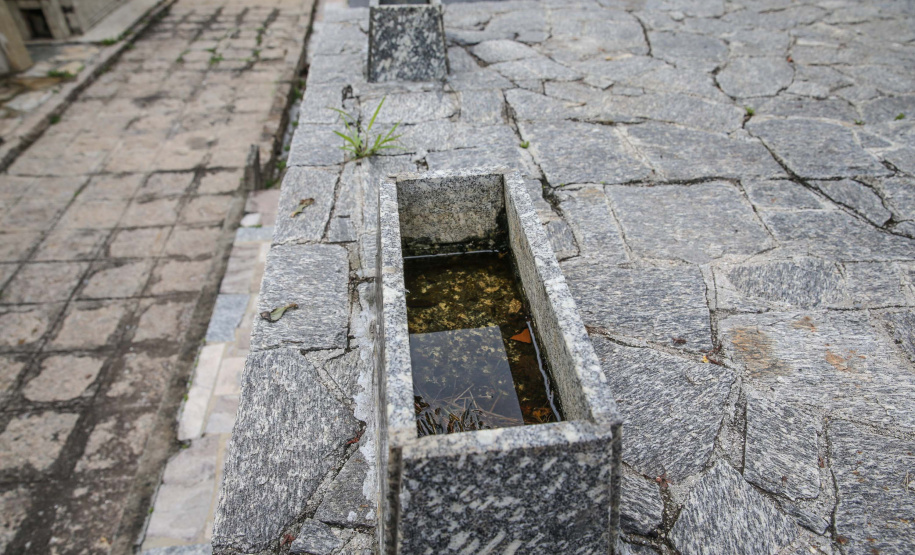 O mosquito se prolifera em locais que acumulam água parada; os focos estão nos quintais das residências, nos pratos de plantas, ralos, pneus, garrafas, lixeiras, lajes, sucatas e restos de materiais de construção, entre outros. Foto: Geraldo Bubniak/AEN