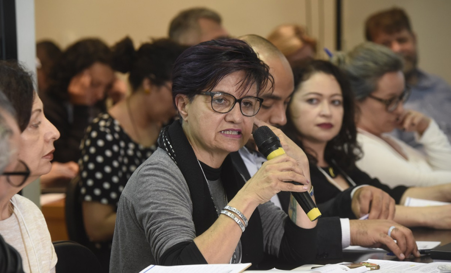 Paraná disputa vagas no Conselho Nacional de Política Cultural