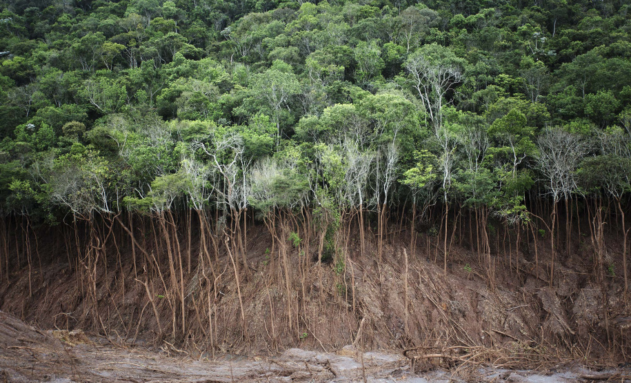 O Museu Oscar Niemeyer vai inaugurar no dia 28 (quinta-feira) a exposição Mariana, de Christian Cravo. Com curadoria de Adriana Cravo, a mostra apresenta 26 fotografias impressas em fine art que retratam as memórias humanas de uma das maiores tragédias ambientais do país: o rompimento da barragem de Fundão, que vitimou fatalmente 19 pessoas e desabrigou centenas de famílias em Mariana (Minas Gerais), em 2015.