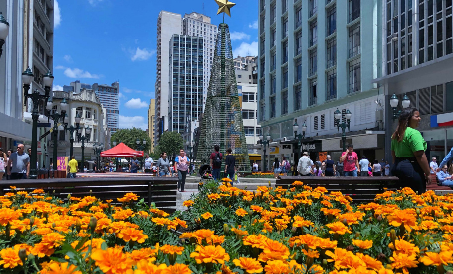 Os setores de comércio (3.199) e serviços (2.488) e foram os que mais empregaram em outubro, puxados pelo aquecimento da economia com a aproximação do fim do ano.Foto: José Fernando Ogura/AEN