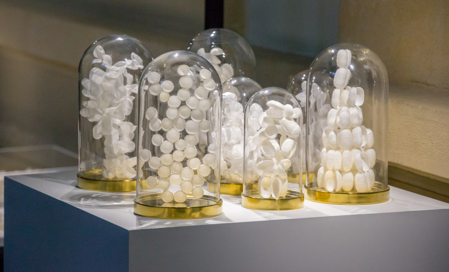 Paraná ingressa na rede internacional da seda. Foto:www.silkinlyon.com/presse/