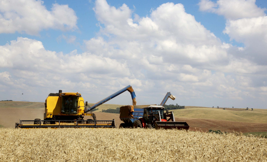 A safra de grãos de verão do Paraná 2019/20 está praticamente toda plantada, impulsionada pela melhora climática ocorrida durante parte do mês de outubro e início de novembro. O Departamento de Economia Rural (Deral) da Secretaria da Agricultura e Abastecimento estima que poderão ser colhidas até 23,4 milhões de toneladas, volume que, se concretizado, será 19% acima de igual período do ano anterior quando foram colhidos 19,7 milhões de toneladas.Curitiba, 22/11/2019-Foto: Jaelson Lucas/AEN