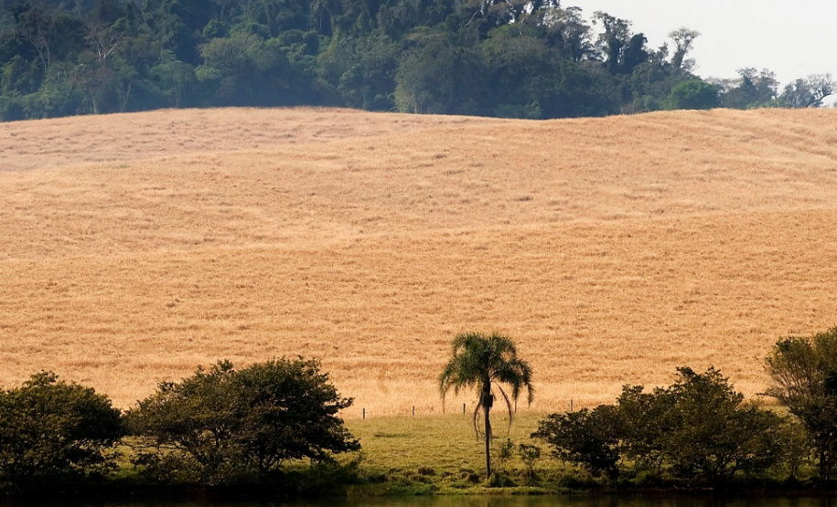 Bacias hidrográficas do Paraná abrigam belezas e potencial turístico.Foto: Denis Ferreira Netto/AEN