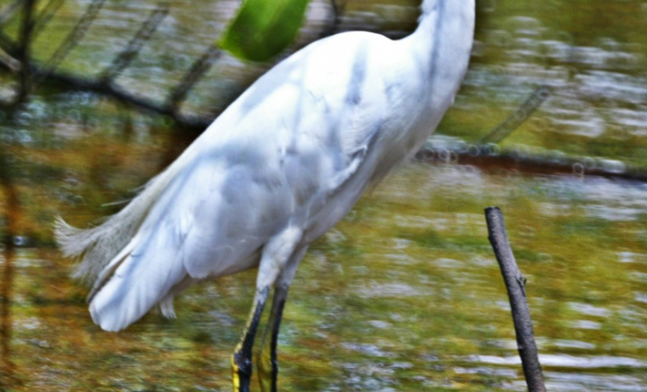 Bacias hidrográficas do Paraná abrigam belezas e potencial turístico.Foto: Denis Ferreira Netto/SEDEST