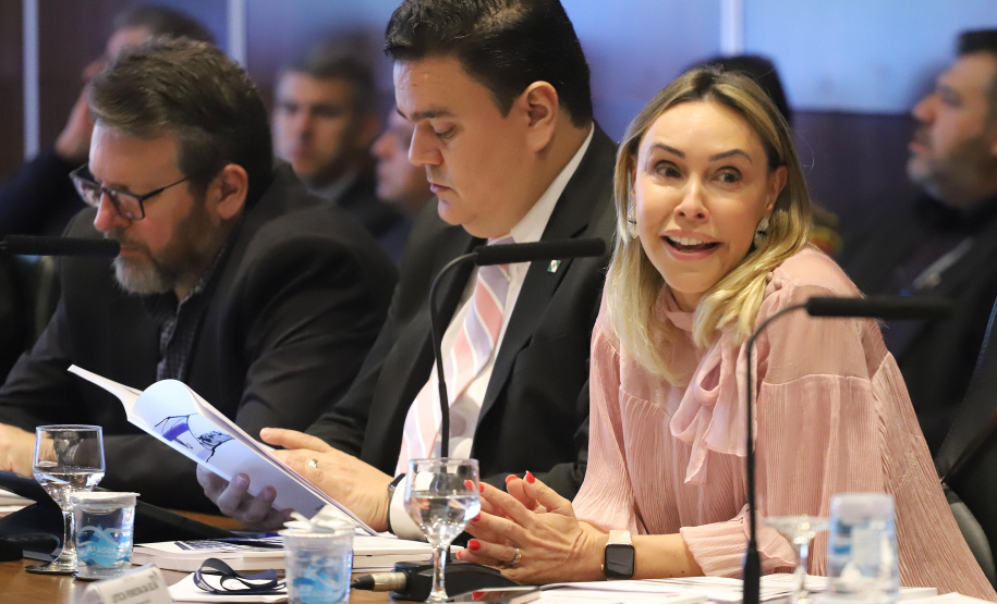 Reunião do secretariado de Governo - N/F: procuradora Geral do Estado, Letícia Ferreira da Silva.Curitiba, 26-11-19.Foto: Arnaldo Alves / AEN.