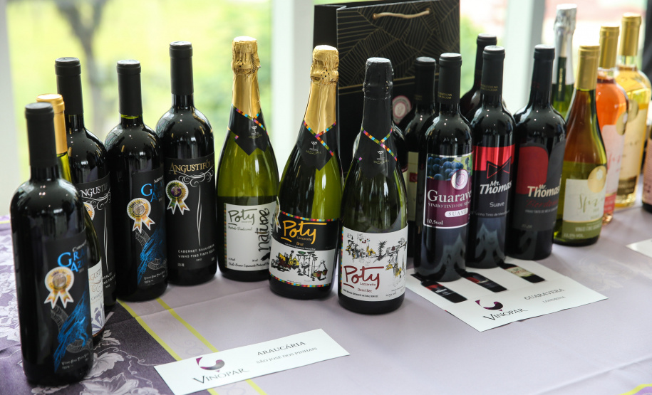 O Governador Carlos Massa Ratinho Júnior e o secretário estadual da Agricultura e Abastecimento, Norberto Ortigara, lançam nesta terça-feira (26),  o programa de Desenvolvimento e Revitalização da Viticultura e da Agroindústria Vitícola no Paraná, o Revitis.   Curitiba, 26/11/2019 - Foto: Geraldo Bubniak/AEN