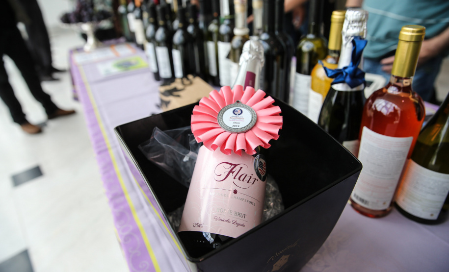 O Governador Carlos Massa Ratinho Júnior e o secretário estadual da Agricultura e Abastecimento, Norberto Ortigara, lançam nesta terça-feira (26),  o programa de Desenvolvimento e Revitalização da Viticultura e da Agroindústria Vitícola no Paraná, o Revitis.   Curitiba, 26/11/2019 - Foto: Geraldo Bubniak/AEN