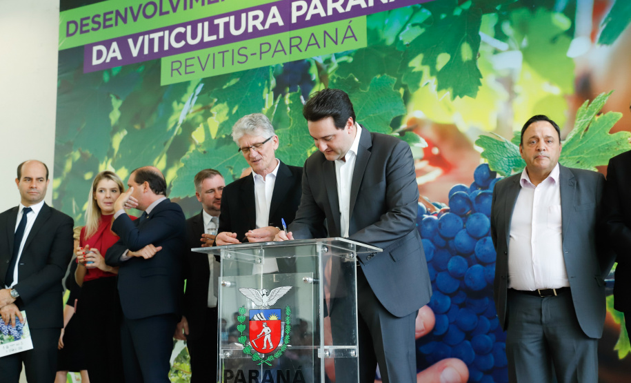 O governador Carlos Massa Ratinho Junior lançou nesta terça-feira (26), no Palácio Iguaçu, o programa Revitis, destinado a estimular a produção de uvas no Paraná. Iniciativa inédita no Estado, o programa está apoiado em quatro eixos: incentivo para a produção, reorganização da comercialização, desenvolvimento do turismo e apoio à agroindústria.