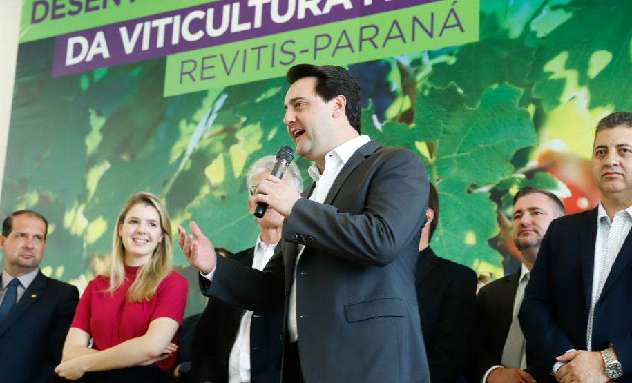 O governador Carlos Massa Ratinho Junior lançou nesta terça-feira (26), no Palácio Iguaçu, o programa Revitis, destinado a estimular a produção de uvas no Paraná. Iniciativa inédita no Estado, o programa está apoiado em quatro eixos: incentivo para a produção, reorganização da comercialização, desenvolvimento do turismo e apoio à agroindústria.