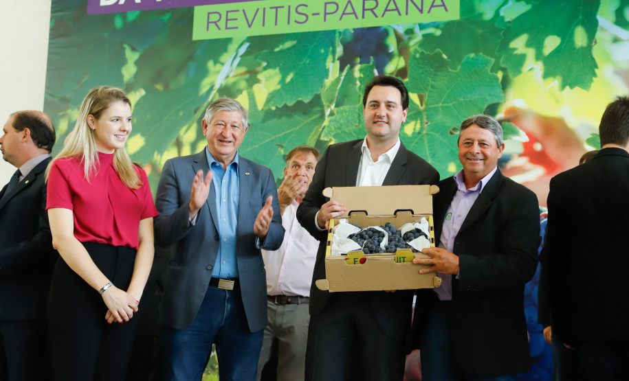 O governador Carlos Massa Ratinho Junior lançou nesta terça-feira (26), no Palácio Iguaçu, o programa Revitis, destinado a estimular a produção de uvas no Paraná. Iniciativa inédita no Estado, o programa está apoiado em quatro eixos: incentivo para a produção, reorganização da comercialização, desenvolvimento do turismo e apoio à agroindústria.