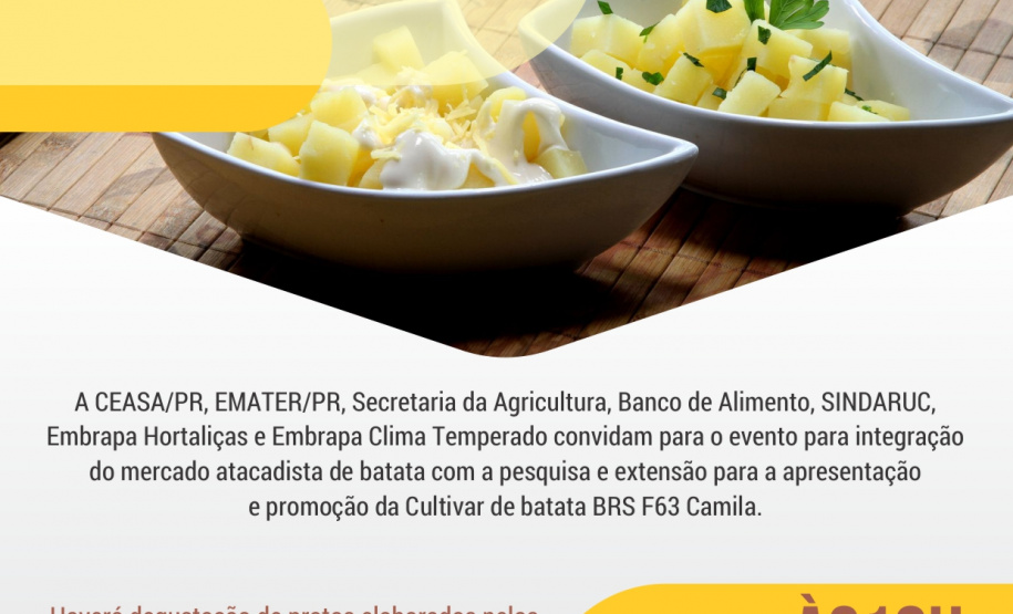 Ceasa Curitiba apresenta nova cultivar de batata. Foto: Divulgação/SEAB