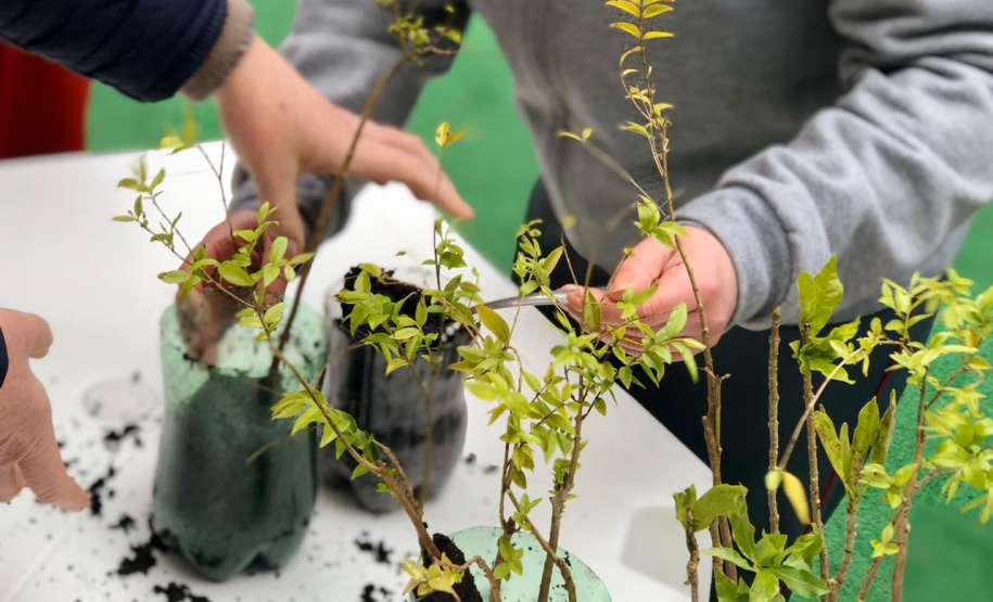 IAP vai participar do projeto Águas da Serra . Foto: Arquivo/SEDEST