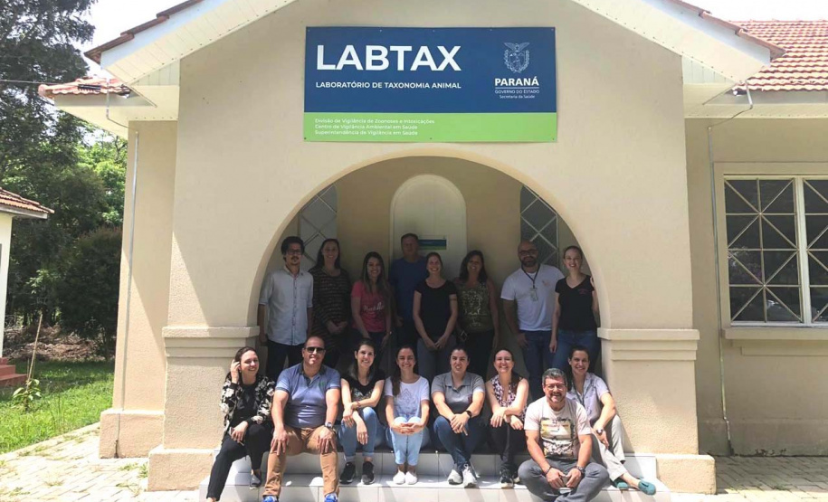 Saúde capacita técnicos na identificação de morcegos. Foto: SESA