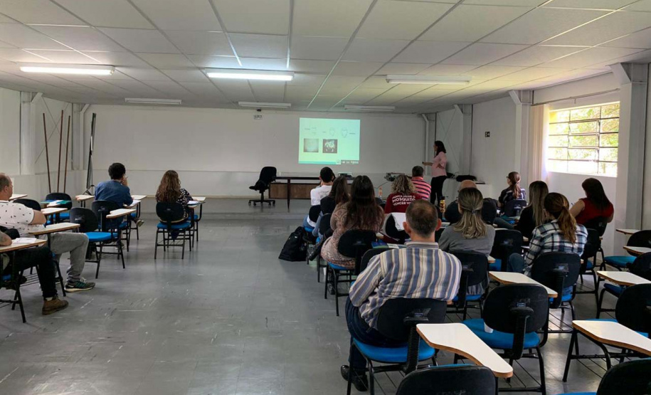 Saúde capacita técnicos na identificação de morcegos. Foto: SESA