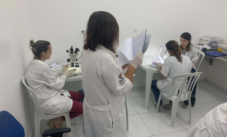 Saúde capacita técnicos na identificação de morcegos. Foto: SESA