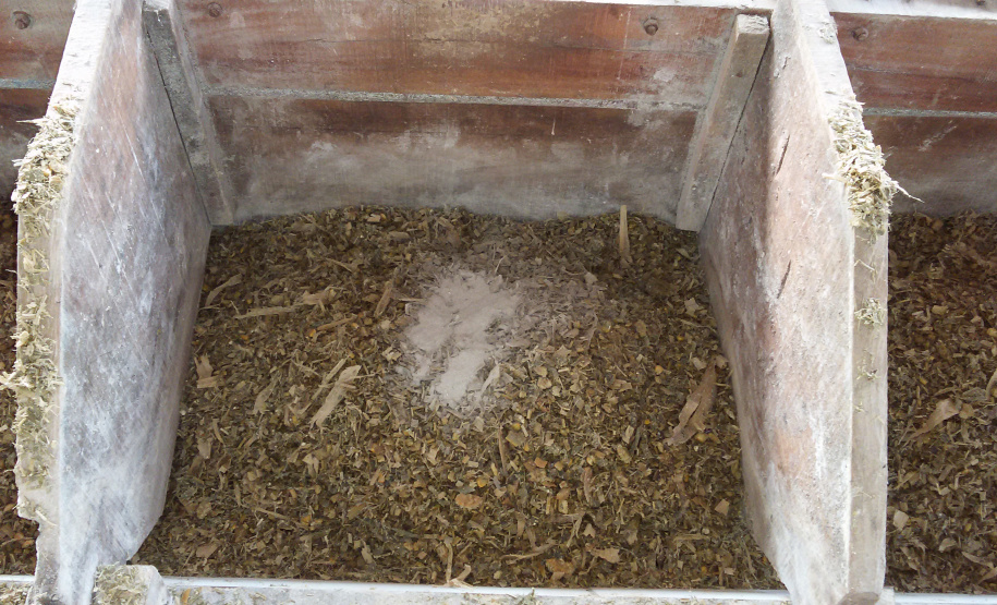 O trabalho do Instituto Emater com produtores da região de Francisco Beltrão trouxe um aumento médio de 35% na produção diária de leite por vaca, o que representa quase 3 mil litros a mais por mês em cada propriedade. O incremento na renda das famílias foi significativo e houve ainda redução do custo de produção. Foto: Emater