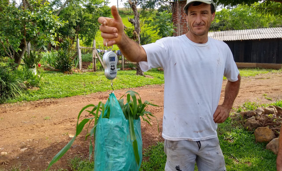 O trabalho do Instituto Emater com produtores da região de Francisco Beltrão trouxe um aumento médio de 35% na produção diária de leite por vaca, o que representa quase 3 mil litros a mais por mês em cada propriedade. O incremento na renda das famílias foi significativo e houve ainda redução do custo de produção. Foto: Emater