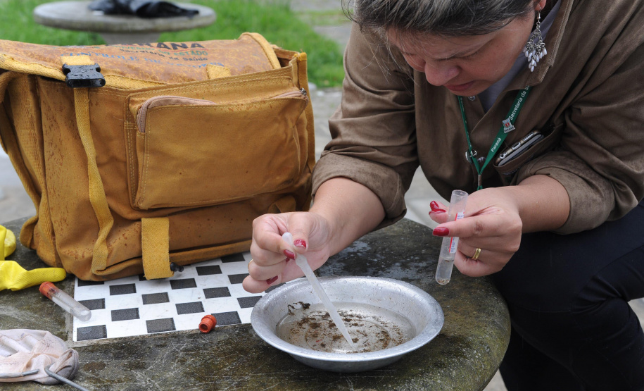 Principal criadouro do mosquito da dengue está nos domicílios. Foto: Venilton Kuchler;Arquivo AEN