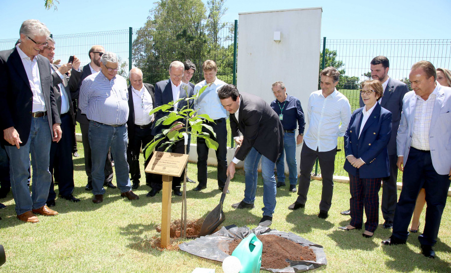 A ministra da Agricultura, Pecuária e Abastecimento, Tereza Cristina, assinou nesta sexta-feira (06), durante evento com a presença do governador Carlos Massa Ratinho Junior, instrução normativa que reforça o reconhecimento do Paraná como área livre da peste suína clássica (PSC). O documento desmembra o Estado de um grupo que era formado por 14 unidades federativas.