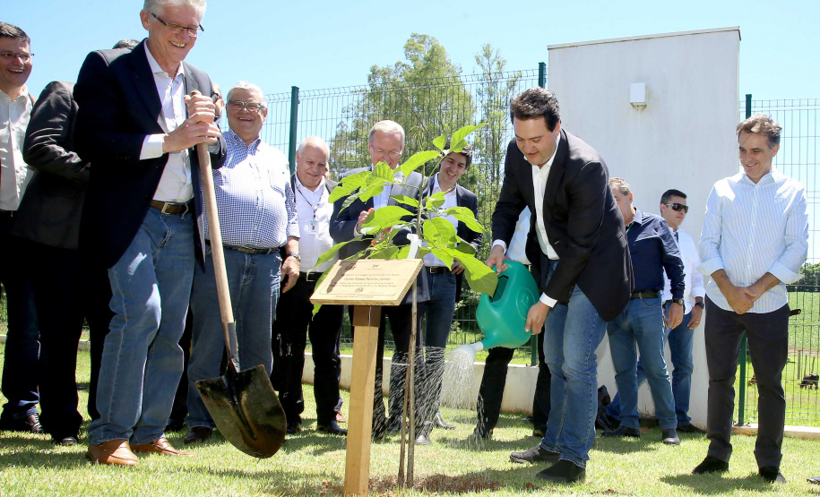 A ministra da Agricultura, Pecuária e Abastecimento, Tereza Cristina, assinou nesta sexta-feira (06), durante evento com a presença do governador Carlos Massa Ratinho Junior, instrução normativa que reforça o reconhecimento do Paraná como área livre da peste suína clássica (PSC). O documento desmembra o Estado de um grupo que era formado por 14 unidades federativas.