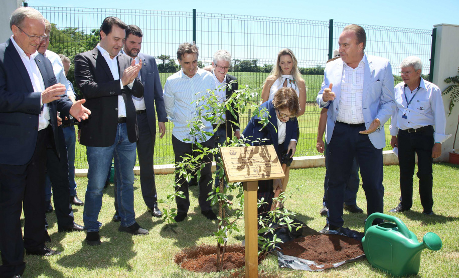 A ministra da Agricultura, Pecuária e Abastecimento, Tereza Cristina, assinou nesta sexta-feira (06), durante evento com a presença do governador Carlos Massa Ratinho Junior, instrução normativa que reforça o reconhecimento do Paraná como área livre da peste suína clássica (PSC). O documento desmembra o Estado de um grupo que era formado por 14 unidades federativas.