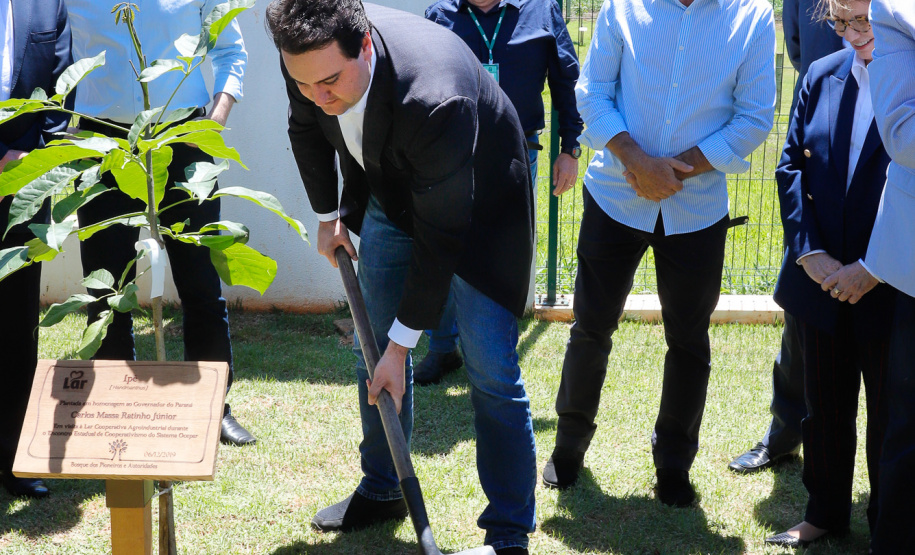 A ministra da Agricultura, Pecuária e Abastecimento, Tereza Cristina, assinou nesta sexta-feira (06), durante evento com a presença do governador Carlos Massa Ratinho Junior, instrução normativa que reforça o reconhecimento do Paraná como área livre da peste suína clássica (PSC). O documento desmembra o Estado de um grupo que era formado por 14 unidades federativas.