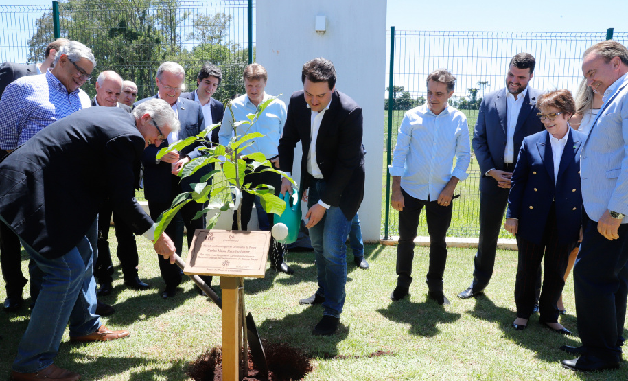 A ministra da Agricultura, Pecuária e Abastecimento, Tereza Cristina, assinou nesta sexta-feira (06), durante evento com a presença do governador Carlos Massa Ratinho Junior, instrução normativa que reforça o reconhecimento do Paraná como área livre da peste suína clássica (PSC). O documento desmembra o Estado de um grupo que era formado por 14 unidades federativas.