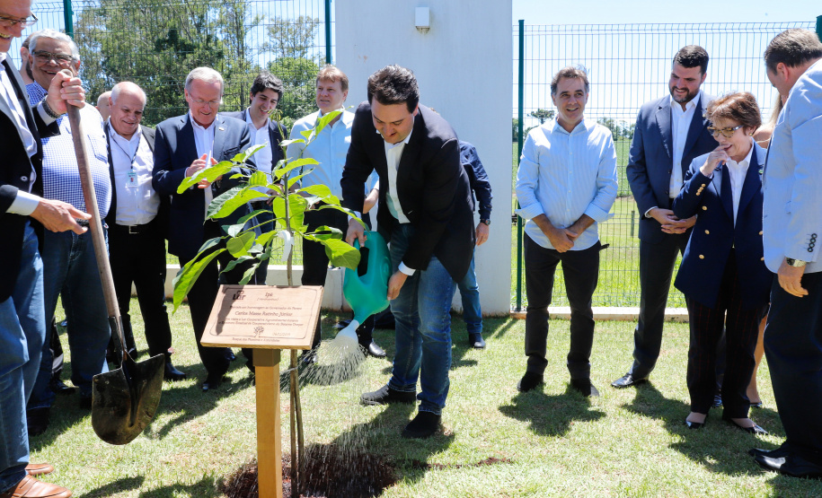 A ministra da Agricultura, Pecuária e Abastecimento, Tereza Cristina, assinou nesta sexta-feira (06), durante evento com a presença do governador Carlos Massa Ratinho Junior, instrução normativa que reforça o reconhecimento do Paraná como área livre da peste suína clássica (PSC). O documento desmembra o Estado de um grupo que era formado por 14 unidades federativas.