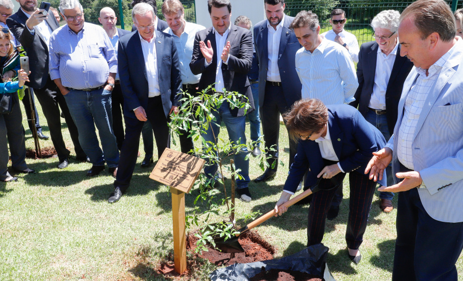 A ministra da Agricultura, Pecuária e Abastecimento, Tereza Cristina, assinou nesta sexta-feira (06), durante evento com a presença do governador Carlos Massa Ratinho Junior, instrução normativa que reforça o reconhecimento do Paraná como área livre da peste suína clássica (PSC). O documento desmembra o Estado de um grupo que era formado por 14 unidades federativas.