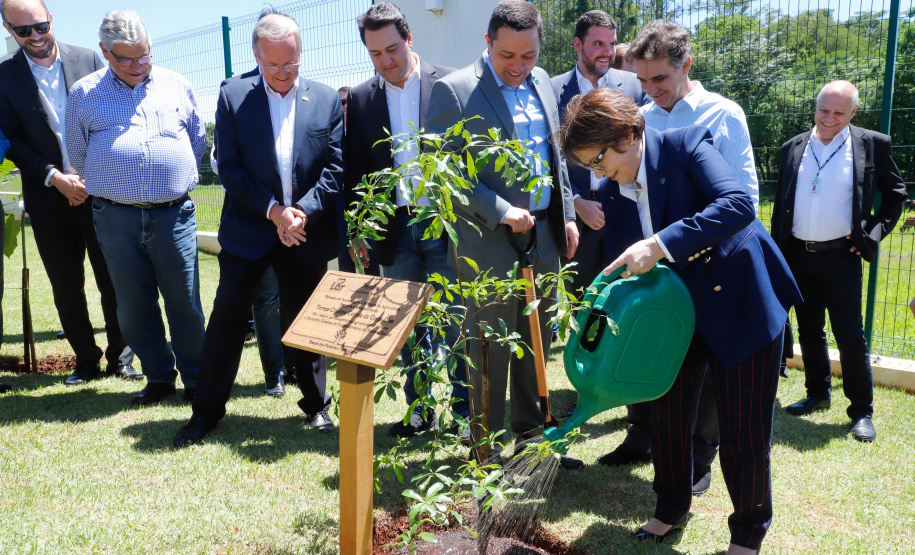 A ministra da Agricultura, Pecuária e Abastecimento, Tereza Cristina, assinou nesta sexta-feira (06), durante evento com a presença do governador Carlos Massa Ratinho Junior, instrução normativa que reforça o reconhecimento do Paraná como área livre da peste suína clássica (PSC). O documento desmembra o Estado de um grupo que era formado por 14 unidades federativas.