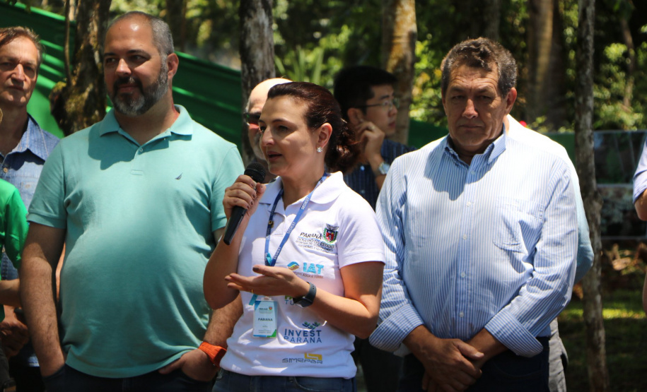 Considerado um dos mais antigos do Estado e um dos poucos fragmentos florestais da região, o Parque Estadual São Camilo, localizado em Palotina, completa 35 anos. “O objetivo da área é proteger a fauna e a flora local, além de proporcionar à população lazer e contado com a natureza”, diz o diretor de Biodiversidade e Áreas Protegidas do Instituto Ambiental Paraná (IAP), Rafael Andreguetto. Foto:SEDEST