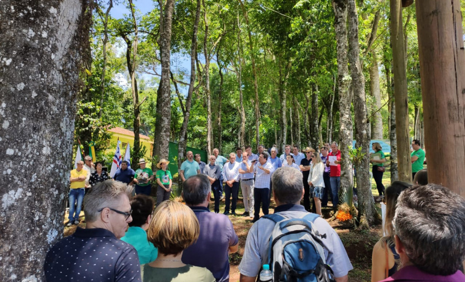 Considerado um dos mais antigos do Estado e um dos poucos fragmentos florestais da região, o Parque Estadual São Camilo, localizado em Palotina, completa 35 anos. “O objetivo da área é proteger a fauna e a flora local, além de proporcionar à população lazer e contado com a natureza”, diz o diretor de Biodiversidade e Áreas Protegidas do Instituto Ambiental Paraná (IAP), Rafael Andreguetto. Foto:SEDEST