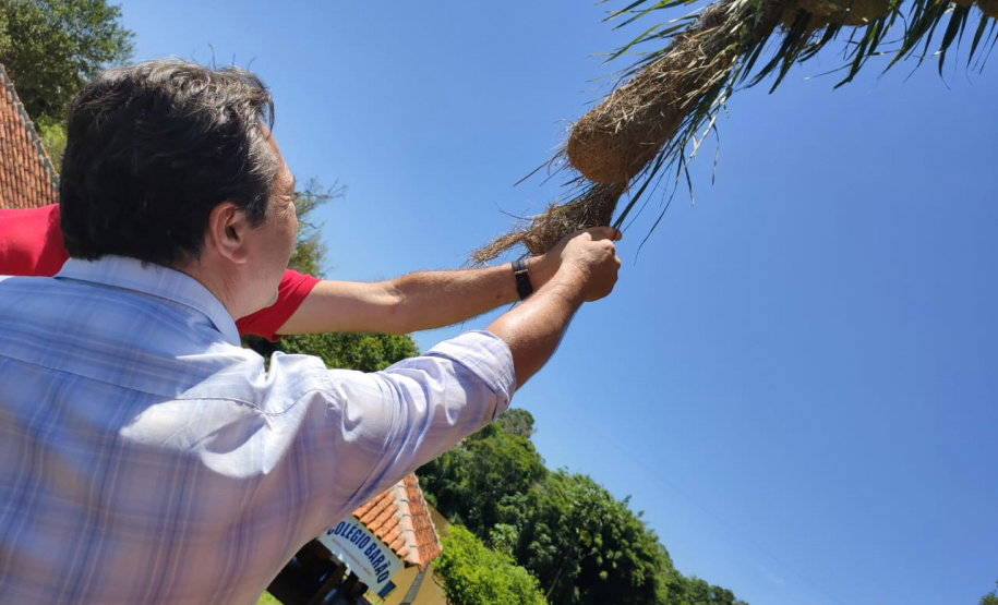 Considerado um dos mais antigos do Estado e um dos poucos fragmentos florestais da região, o Parque Estadual São Camilo, localizado em Palotina, completa 35 anos. “O objetivo da área é proteger a fauna e a flora local, além de proporcionar à população lazer e contado com a natureza”, diz o diretor de Biodiversidade e Áreas Protegidas do Instituto Ambiental Paraná (IAP), Rafael Andreguetto. Foto:SEDEST