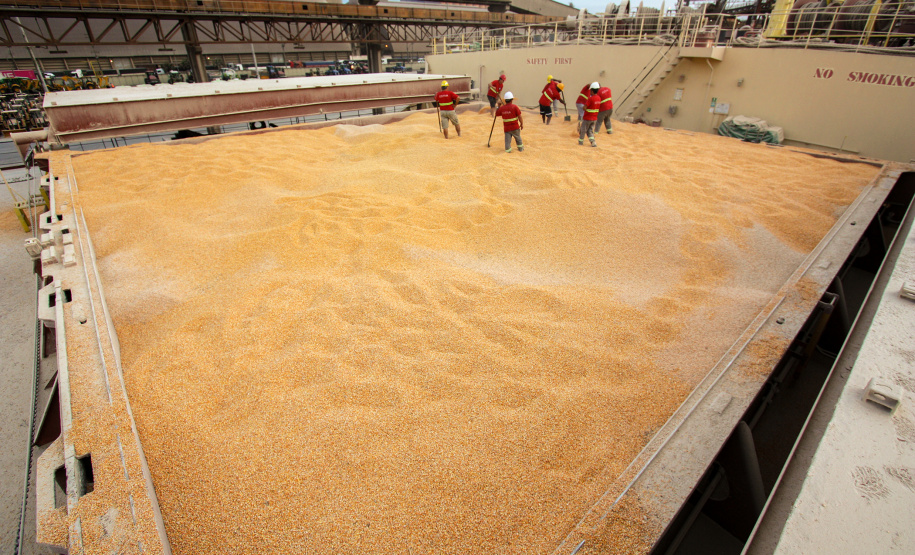 Mesmo antes do encerramento da movimentação em 2019, a exportação de milho via Porto de Paranaguá é 503% maior do que a registrada em 2018, e supera também a movimentação nos cinco anos anteriores. De janeiro a novembro deste ano, foram embarcadas 5,49 milhões de toneladas do grão. No mesmo período do ano passado o volume somou 911,3 mil toneladas.Foto: Claudio Neves/Portos do Paraná