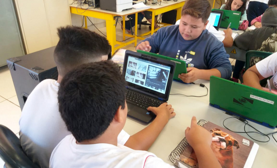 Começou com uma passeata puxada por 300 estudantes e terminou com toda uma cidade mobilizada no enfrentamento à violência contra as mulheres. A responsável é Adriana Reis, professora do 6º ano do Ensino Fundamental no Colégio Estadual Talita Bresolin, no município de Califórnia, no Norte do Paraná, que desenvolveu um projeto com o propósito de conscientizar a comunidade escolar e os moradores da cidade sobre violência doméstica. Foto:SEED