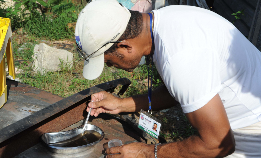 Paraná tem 2.631 casos de dengue e 10 municípios estão em epidemia. Foto:SESA