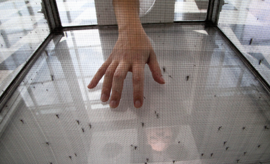 Feira 1ª Feira Tecnologica para Saude. Foto:Ari Dias/AEN