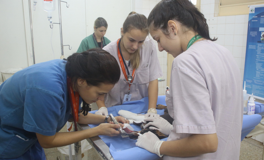 Foto: Jaelson Lucas/AEN