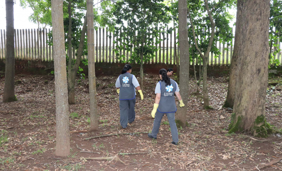 No “Dia D” de combate à dengue organizado pelo Governo do Estado, nesta quarta-feira (18), a incubadora do Instituto de Tecnologia do Paraná (Tecpar) recebe uma nova empresa – a Forrest Brasil Tecnologia, que desenvolveu um projeto inovador para ataque ao mosquito Aedes aegypti.Foto: Tecpar