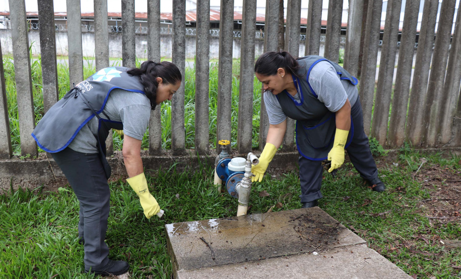 No “Dia D” de combate à dengue organizado pelo Governo do Estado, nesta quarta-feira (18), a incubadora do Instituto de Tecnologia do Paraná (Tecpar) recebe uma nova empresa – a Forrest Brasil Tecnologia, que desenvolveu um projeto inovador para ataque ao mosquito Aedes aegypti.Foto: Tecpar