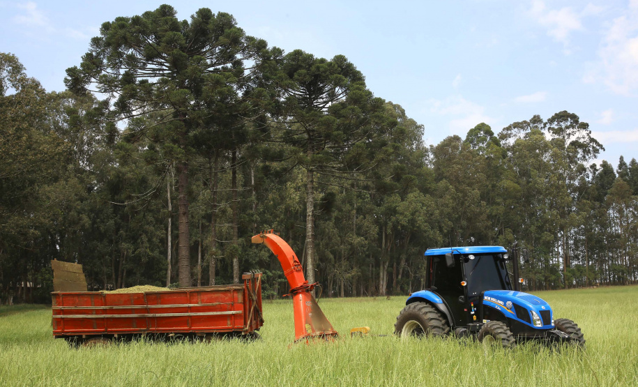 Trator solidário, patagem. Ipiranga, 12/09/2019 Foto:Jaelson Lucas / AEN