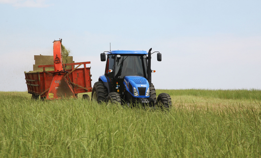 Trator solidário, patagem. Ipiranga, 12/09/2019 Foto:Jaelson Lucas / AEN
