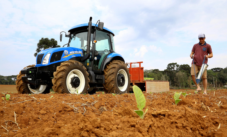 Trator solidário, Plantação de fumo. Na imagem Lucas Geraldo. Ipiranga, 12/09/2019 Foto: Jaelson Lucas / AEN