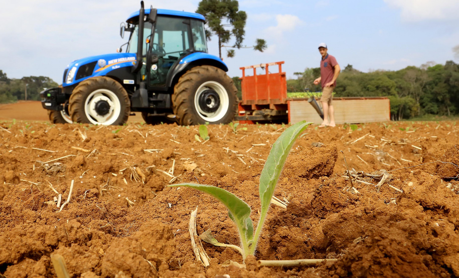 Trator solidário, Plantação de fumo. Na imagem Lucas Geraldo. Ipiranga, 12/09/2019 Foto: Jaelson Lucas / AEN