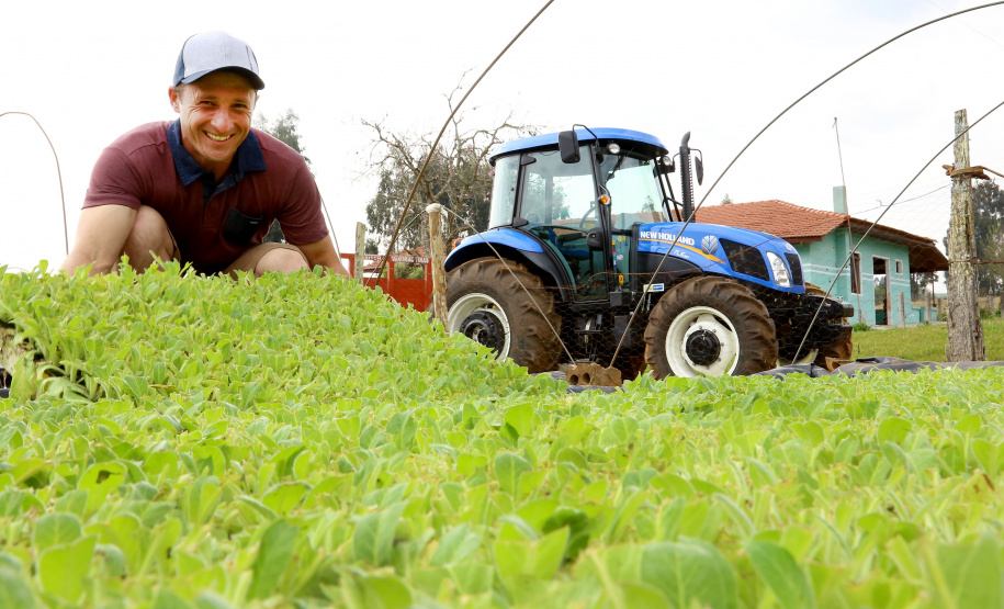 Trator solidário, Plantação de fumo. Na imagem Lucas Geraldo. Ipiranga, 12/09/2019 Foto: Jaelson Lucas / AEN
